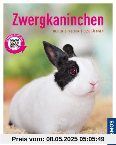 Zwergkaninchen: halten, pflegen, beschäftigen