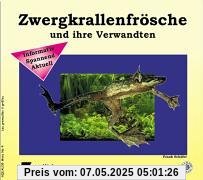 Zwergkrallenfrösche und ihre Verwandten