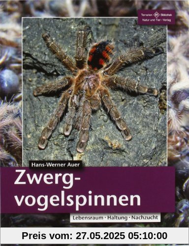 Zwergvogelspinnen: Lebensraum, Haltung, Nachzucht