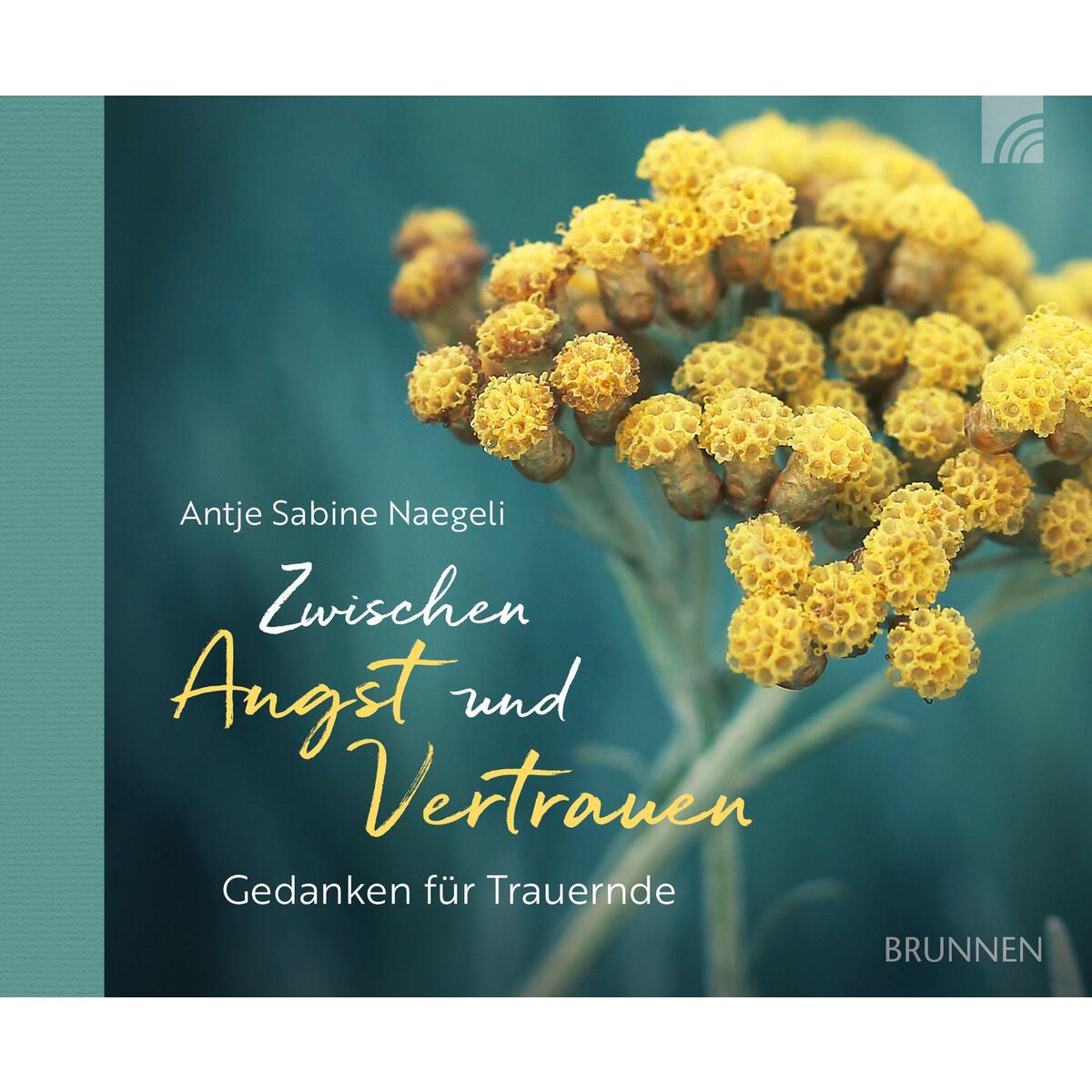 Zwischen Angst und Vertrauen von Brunnen-Verlag GmbH