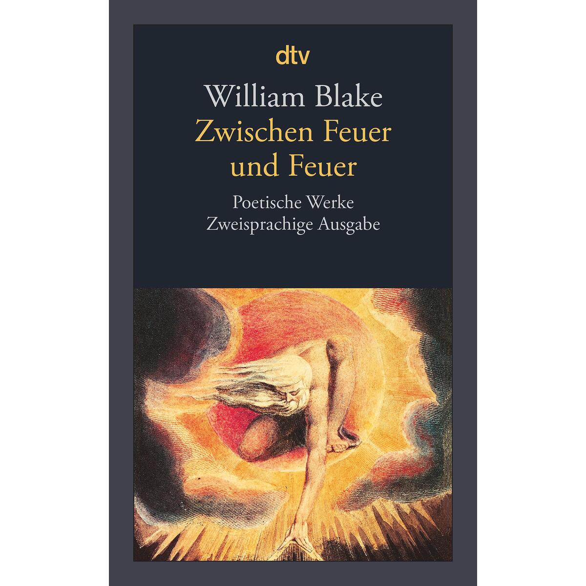 Zwischen Feuer und Feuer von dtv Verlagsgesellschaft