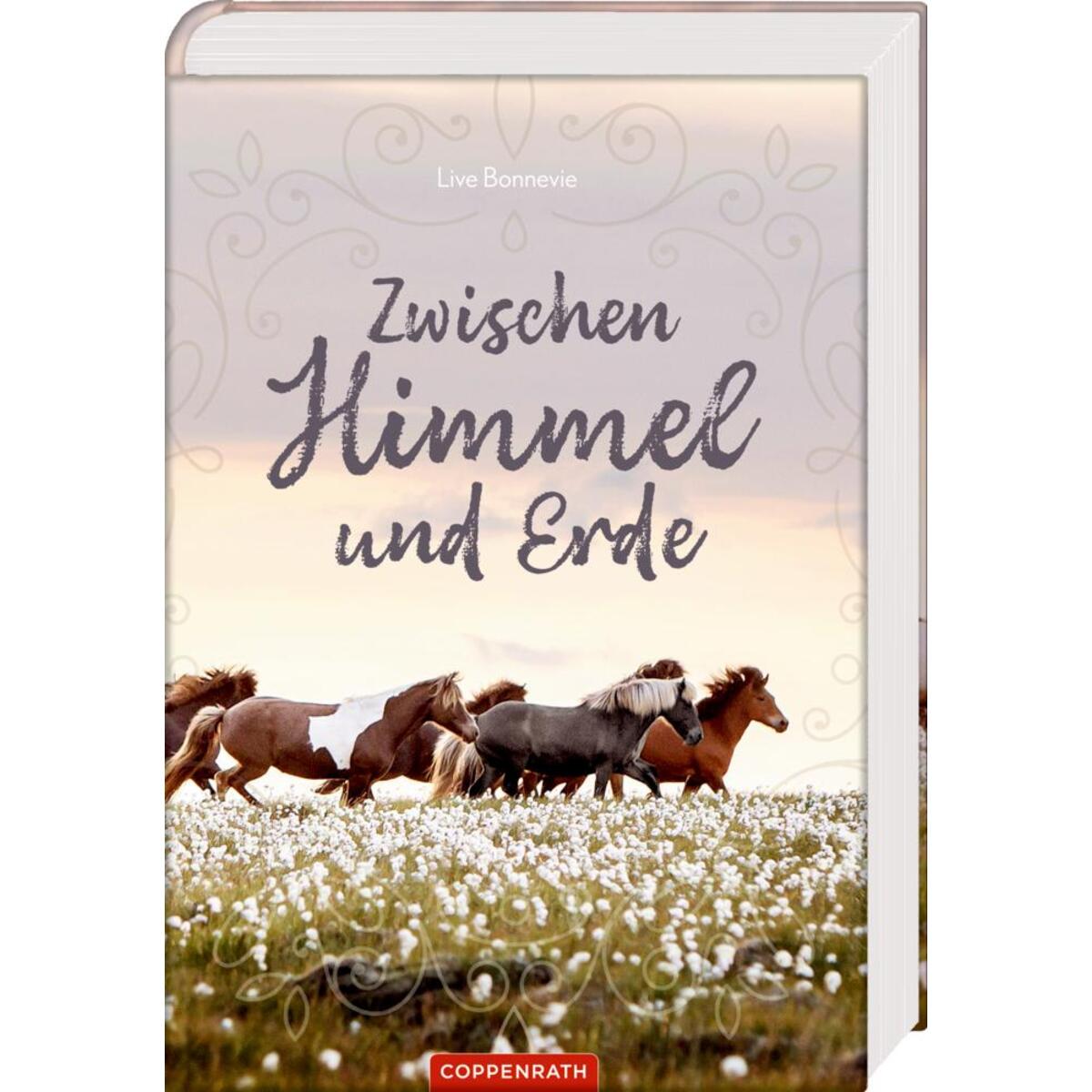 Zwischen Himmel und Erde (Neuauflage) von Coppenrath F