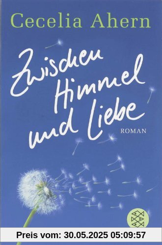 Zwischen Himmel und Liebe: Roman