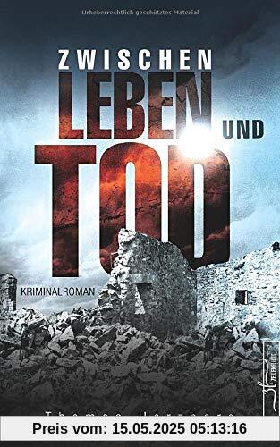 Zwischen Leben und Tod: Hamburg in Trümmern 2 (Kriminalroman)