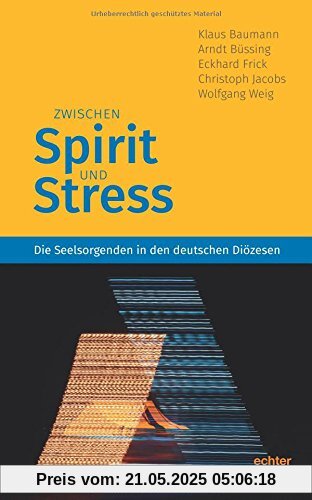 Zwischen Spirit und Stress: Die Seelsorgenden in den deutschen Diözesen