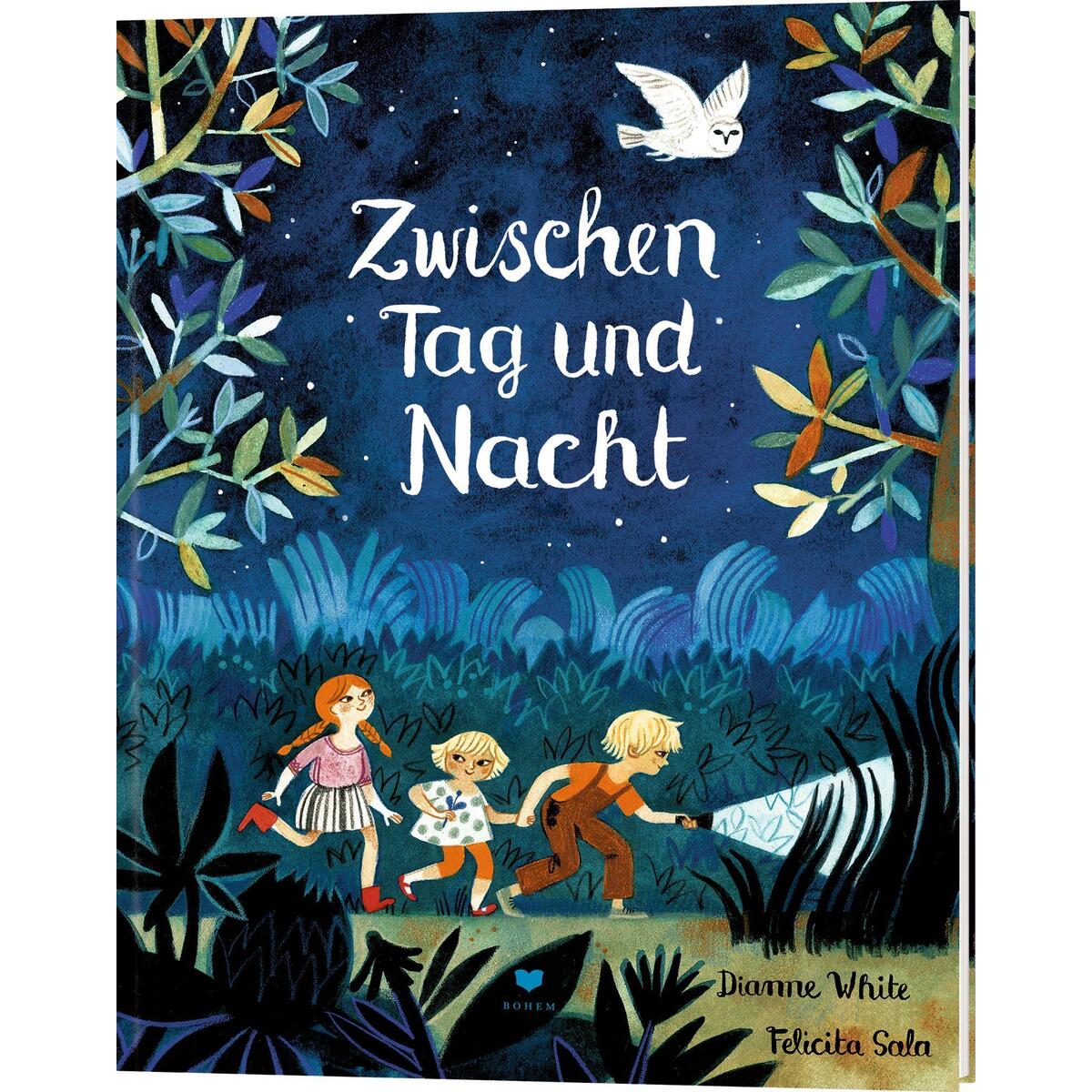 Zwischen Tag und Nacht von Bohem Press Ag
