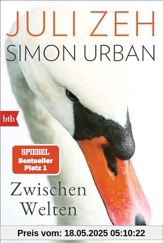 Zwischen Welten: Roman
