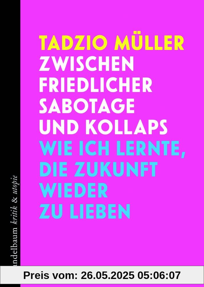 Zwischen friedlicher Sabotage und Kollaps: Wie ich lernte, die Zukunft wieder zu lieben (kritik & utopie)