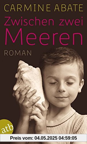 Zwischen zwei Meeren: Roman