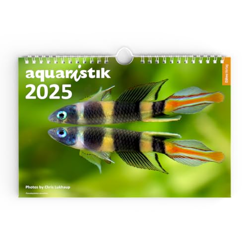 aquaristik 2025 - Foto-Wandkalender aquaristik 2025 - Foto-Wandkalender von Dähne Verlag