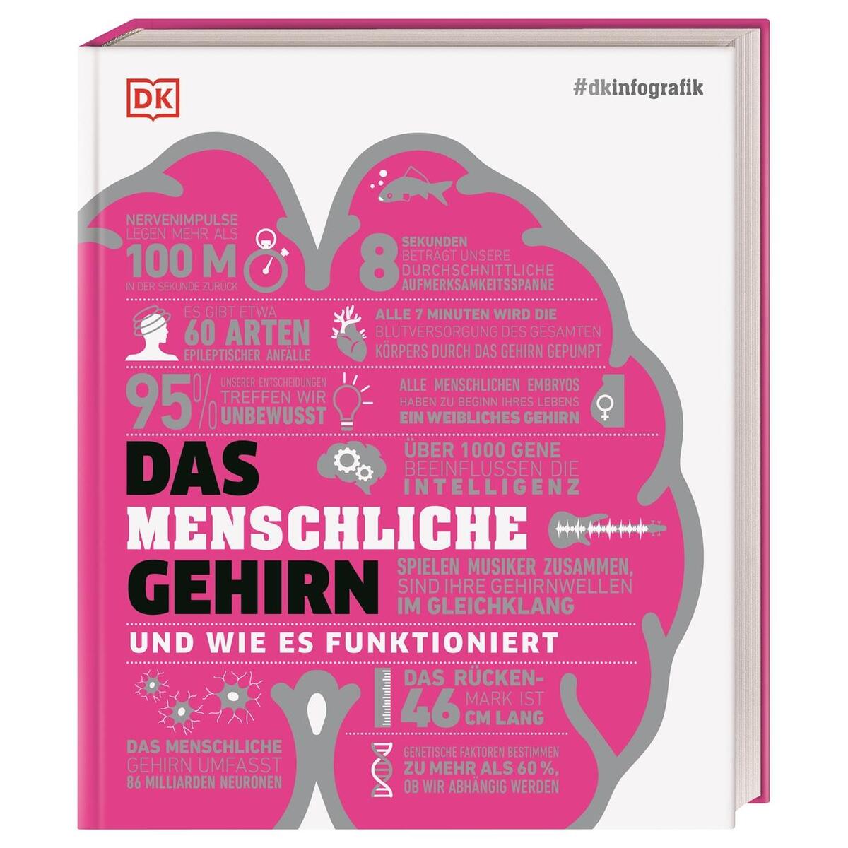 #dkinfografik. Das menschliche Gehirn und wie es funktioniert von Dorling Kindersley Verlag