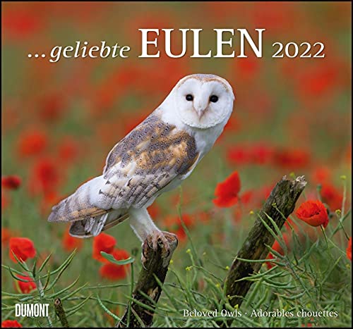 ... geliebte Eulen 2022 - DUMONT Wandkalender - mit den wichtigsten Feiertagen - Format 38,0 x 35,5 cm