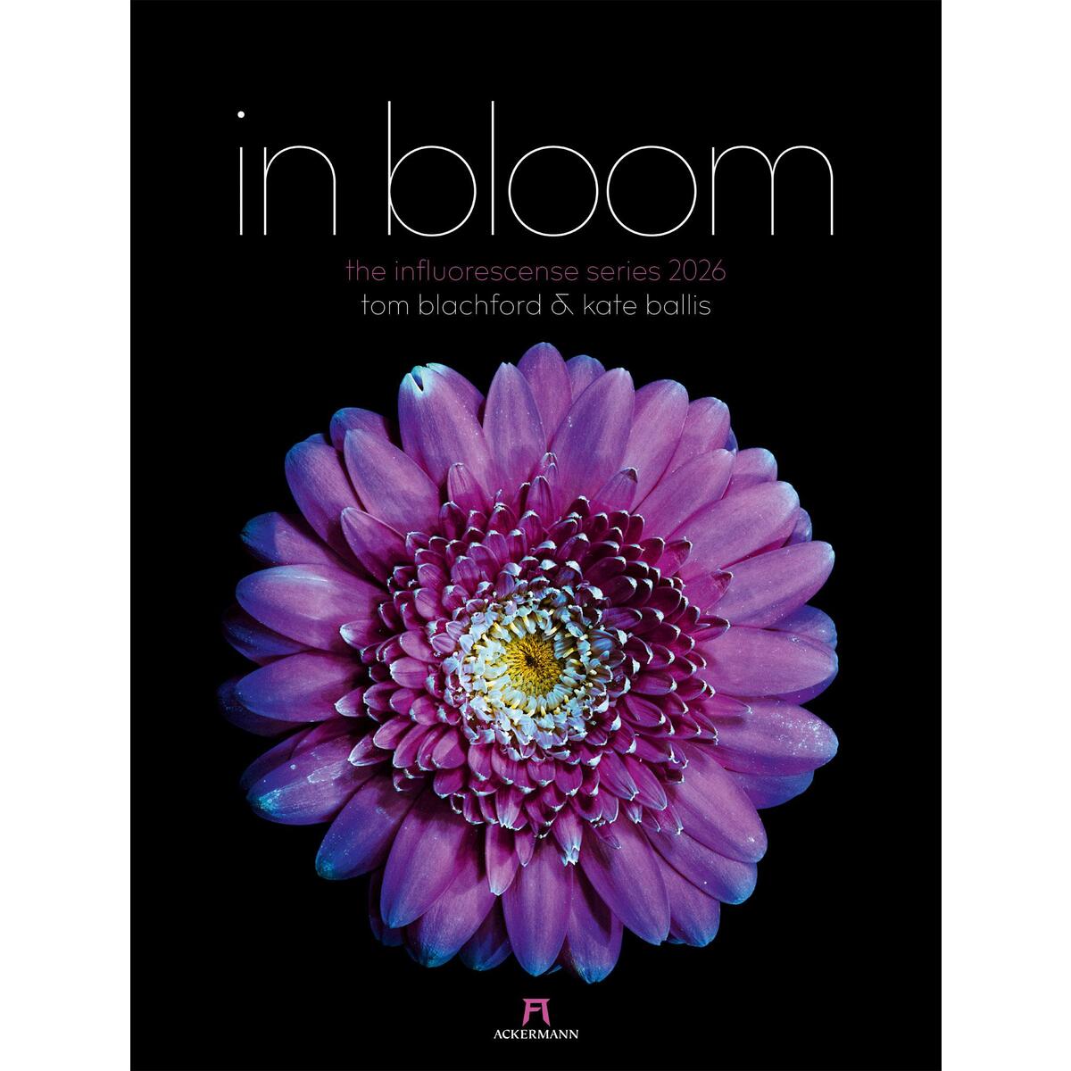 in bloom Kalender 2026 in bloom Kalender 2026 von Ackermann Kunstverlag