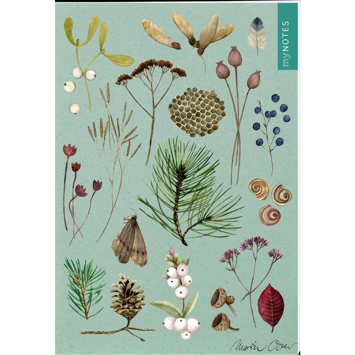 myNOTES Papeterie: Notizheft Naturschätze -Winterwald myNOTES Papeterie: Notizheft Naturschätze -Winterwald von Ars Edition GmbH