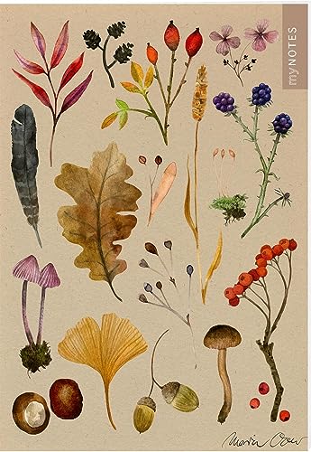 myNOTES Papeterie: Notizheft Naturschätze: Bunte Herbstblätter | Heft liniert A5, herbstliche Naturoptik, für Notizen und gute Ideen unterwegs myNOTES Papeterie: Notizheft Naturschätze: Bunte Herbstblätter | Heft liniert A5, herbstliche Naturoptik, für Notizen und gute Ideen unterwegs