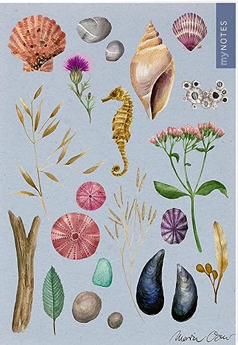 myNOTES Papeterie: Notizheft Naturschätze: Muscheln & Meer | Heft liniert A5, maritimes Design, für Notizen und gute Ideen unterwegs myNOTES Papeterie: Notizheft Naturschätze: Muscheln & Meer | Heft liniert A5, maritimes Design, für Notizen und gute Ideen unterwegs