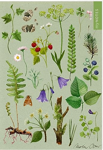 myNOTES Papeterie: Notizheft Naturschätze: Wald & Wiesenblumen | Heft liniert A5, blumiges Design, für Notizen und gute Ideen unterwegs myNOTES Papeterie: Notizheft Naturschätze: Wald & Wiesenblumen | Heft liniert A5, blumiges Design, für Notizen und gute Ideen unterwegs