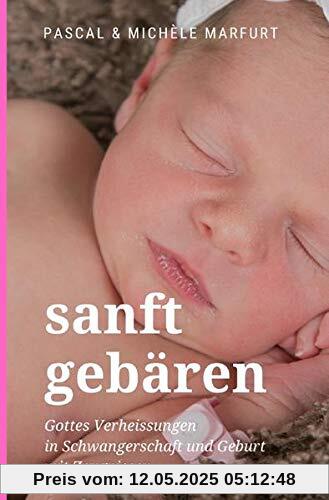 sanft gebären: Gottes Verheissungen in Schwangerschaft und Geburt mit Zeugnissen