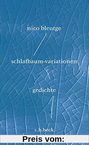 schlafbaum-variationen: gedichte: Fischer, Die Stunde der Physiker