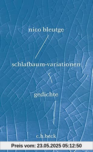 schlafbaum-variationen: gedichte: Fischer, Die Stunde der Physiker