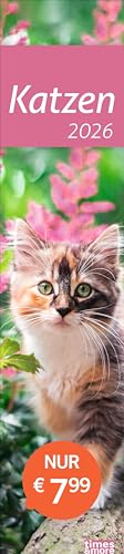 times&more Katzen Langplaner 2026: Immer alle Termine im Blick mit dem Streifen-Kalender für Büro und Zuhause. Süße Katzenfotos in einem praktischen ... - times&more (Streifenplaner Kalender Heye) von Heye