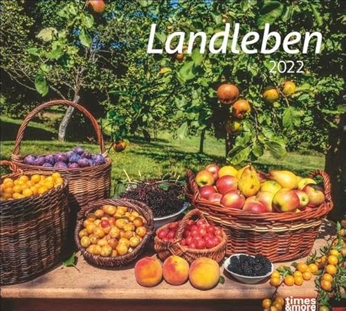 Landleben Bildkalender 2022 - times&more Wandkalender mit Monatskalendarium - 30 x 27 cm von Heye