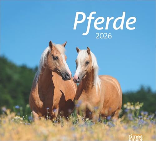times&more Pferde Bildkalender 2026: times&more Tierkalender für Pferdefreunde. Kalender mit spektakulären Fotos edler Pferde. Wand-Kalender 2026. (times&more Kalender Heye) von Heye