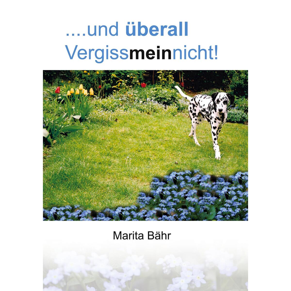 ....und überall Vergissmeinnicht! ....und überall Vergissmeinnicht! von Verlagshaus Schlosser