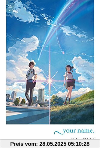your name. (light novel)