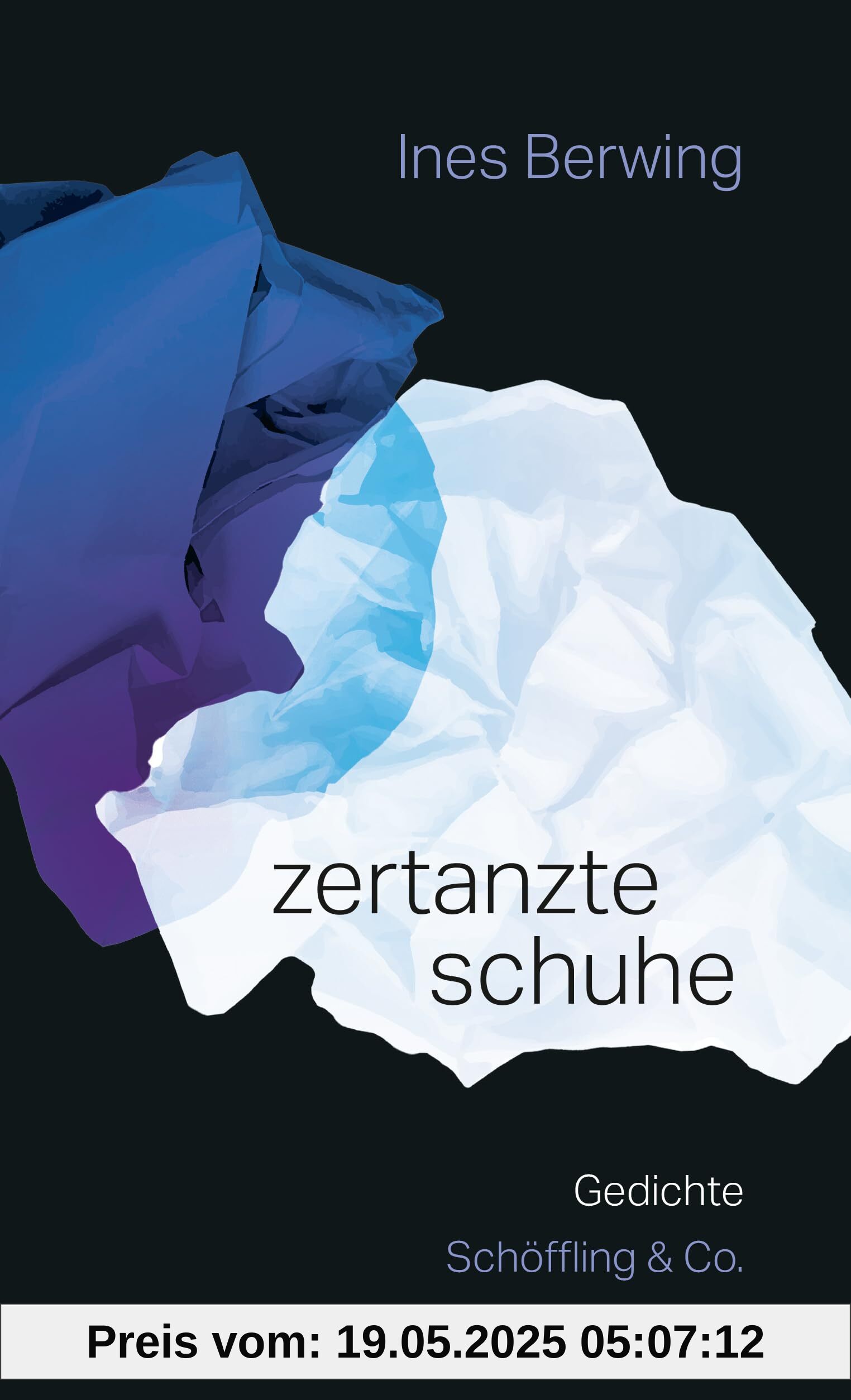 zertanzte schuhe: Gedichte