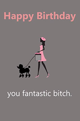 Happy Birthday You Fantastic Bitch: Lined Journal - 6x9 Inches - Gift For Girls - Happy Birthday Present For Best Friends von Independently published