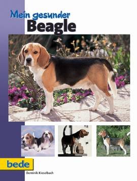 Bede Mein gesunder Beagle Bede Mein gesunder Beagle