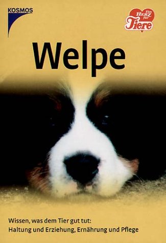 Welpe Welpe
