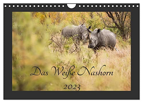 Das Weiße Nashorn (Wandkalender 2023 DIN A4 quer): Das Breitmaulnashorn, auch Weißes Nashorn genannt, ist eines unserer größten Landsäugetiere und ... (Monatskalender, 14 Seiten ) (CALVENDO Tiere)