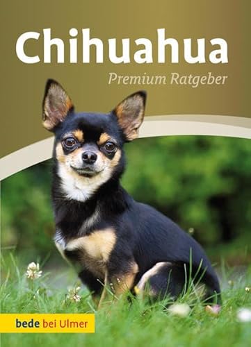 Chihuahua: Premium Ratgeber