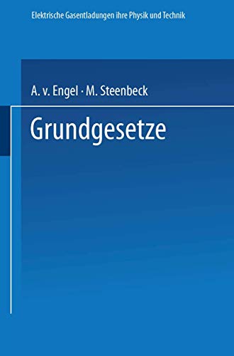 Elektrische Gasentladungen Grundgesetze: Ihre Physik und Technik (German Edition)