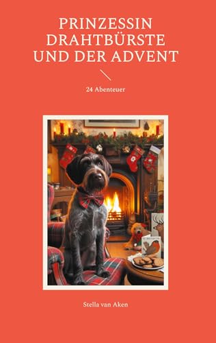 Prinzessin Drahtbürste und der Advent: 24 Abenteuer von Book on Demand
