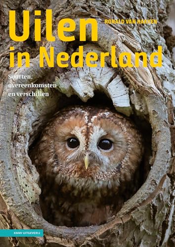 Uilen in Nederland: soorten, overeenkomsten en verschillen von KNNV Uitgeverij