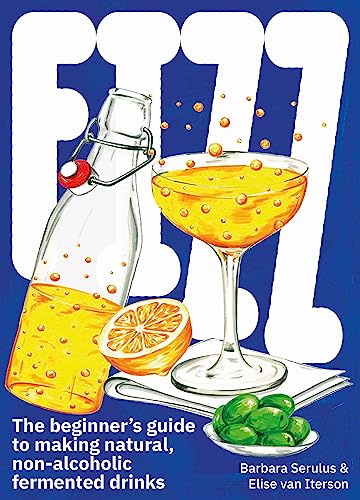 FIZZ: A Beginners Guide to Making Natural, Non-Alcoholic Fermented Drinks von Bis Publishers