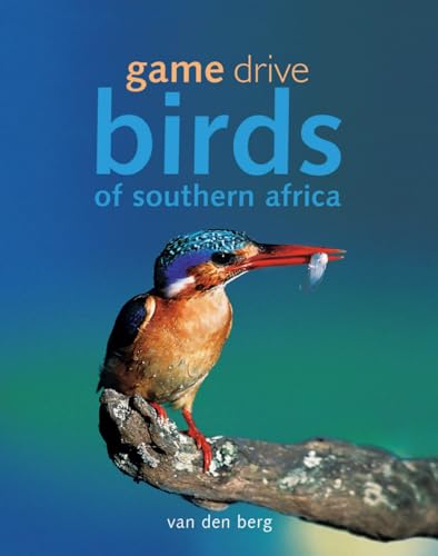 Game Drive Birds Of Southern Africa