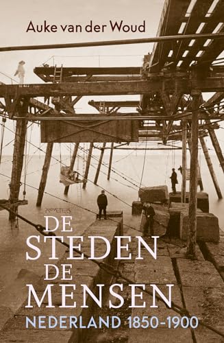 De steden, de mensen: Nederland 1850-1900 von Prometheus