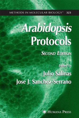 Arabidopsis Protocols, 2nd Edition (Methods in Molecular Biology, Band 323) von Humana Press