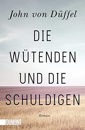 Die Wütenden und die Schuldigen: Roman