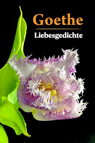 Goethe. Liebesgedichte (Farbig illustriert) von Independently published