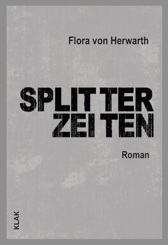 Splitterzeiten: Roman