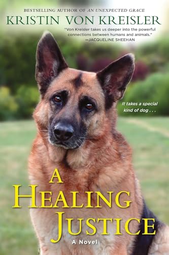 A Healing Justice