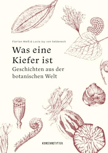 Was eine Kiefer ist: Geschichten aus der botanischen Welt von kunstanstifter GmbH