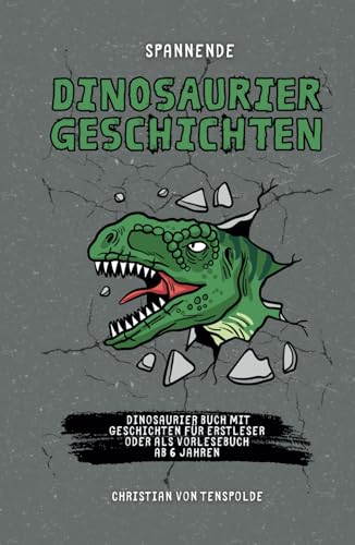 Spannende Dinosauriergeschichten - Dinogeschichten - das Dinosaurier Buch mit verschiedenen Geschichten für Erstleser oder als Vorlesebuch ab 6 Jahren von Independently published